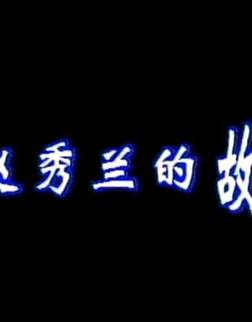 赵秀兰的故事(1996)海报