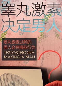 睪丸激素決定男人(2021)海報