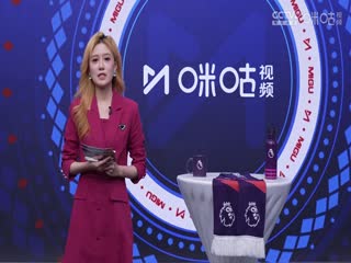 英超联赛 布莱顿VS阿森纳 20240407海报