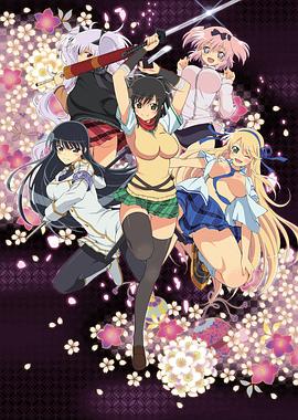 闪乱神乐第一季(2013)海报