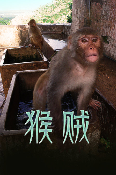 猴賊(2018)海報