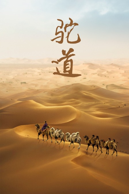 駝道(2014)海報