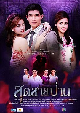 無盡的愛2013(2013)海報