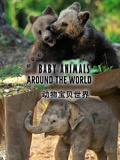動物寶貝世界配音版(2025)海報