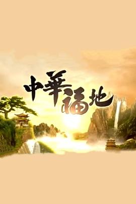 中华福地(2010)海报