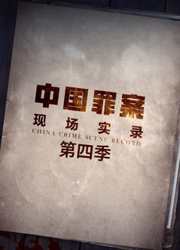 罪案現場實錄 第四季(2019)海報