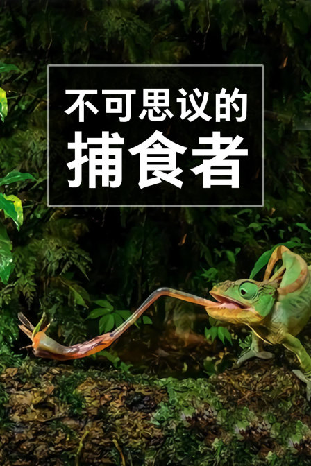 不可思议的捕食者(2017)海报