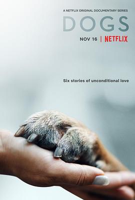愛犬情深第一季(2018)海報