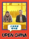 三言兩語嘮中國(2020)海報