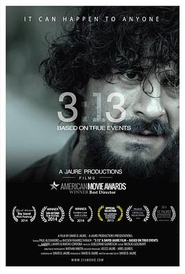 313(2015)海報