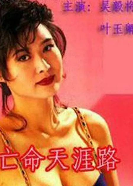 亡命天涯路國語(1990)海報