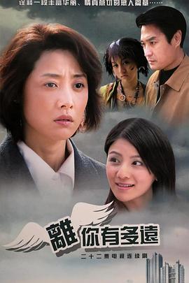 离你有多远(2008)海报