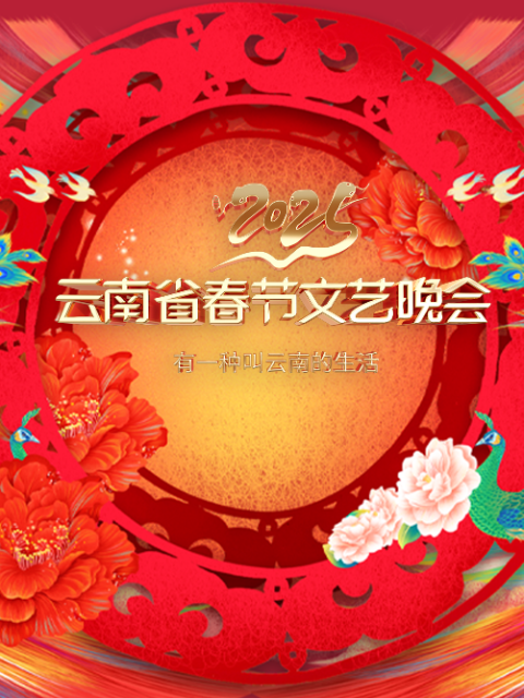 2025雲南省春節文藝晚會(2025)海報