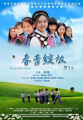 春蕾绽放(2010)海报