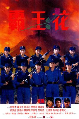 霸王花(國語版)(1988)海報