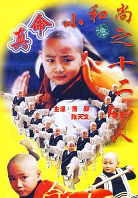 真命小和尚之十二铜人(1997)海报