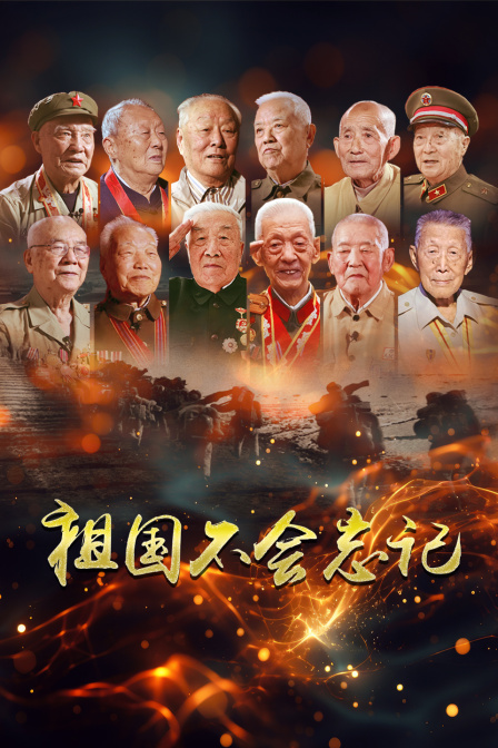 祖国不会忘记(2025)海报