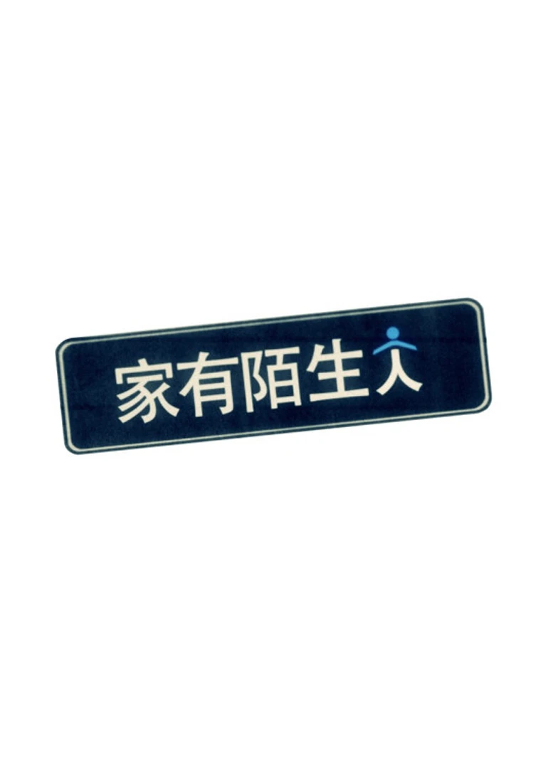 家有陌生人(2013)海报