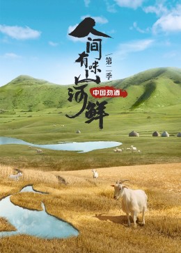 人间有味山河鲜第二季(2022)海报