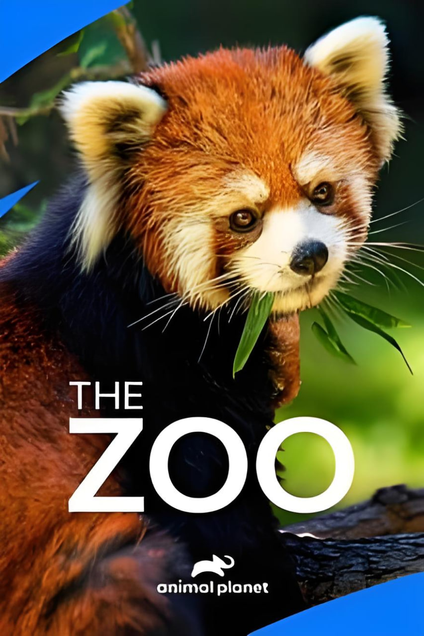 動物園 第四季(2011)海報