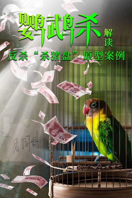 《鹦鹉杀》解读:“反杀”杀猪盘原型案例(2023)海报