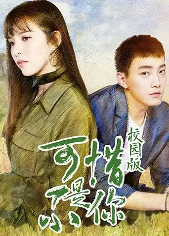 可惜不是你 校園版(2017)海報