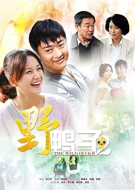 野鸭子2(2013)海报