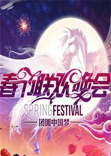 2009湖南衛視春節聯歡晚會(2009)海報