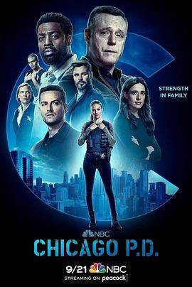 芝加哥警署第十季(2014)海报