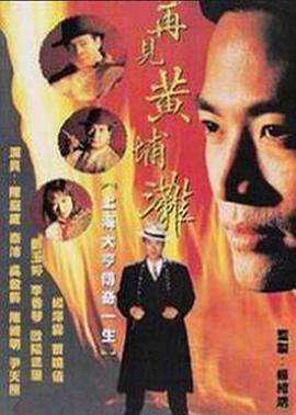 再见黄埔滩2国语(1994)海报