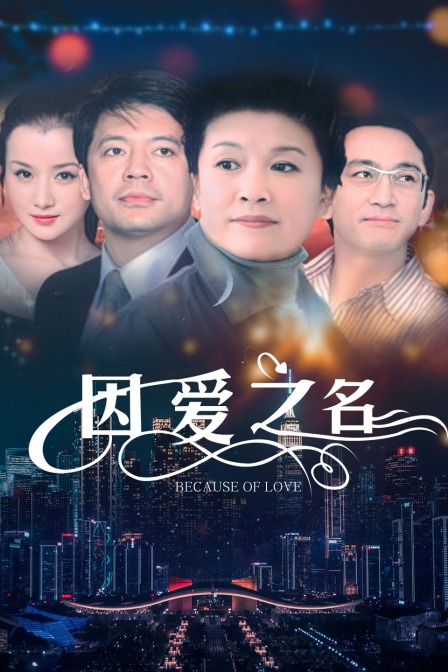 因愛之名(2009)海報