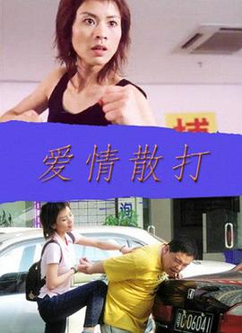 愛情散打(2004)海報