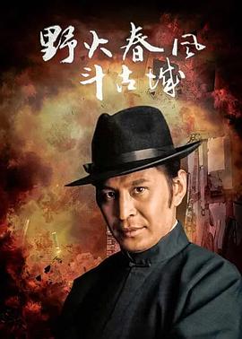 野火春风斗古城1995(2005)海报