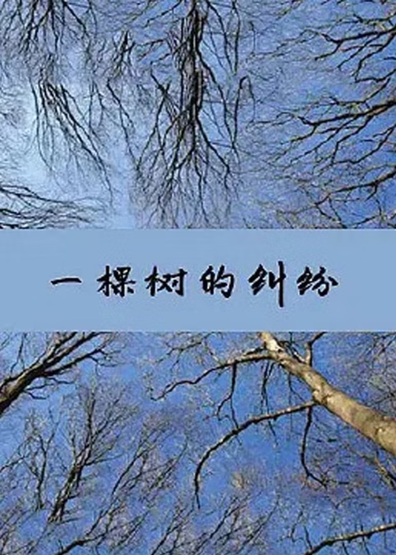 一棵樹的糾紛(2018)海報