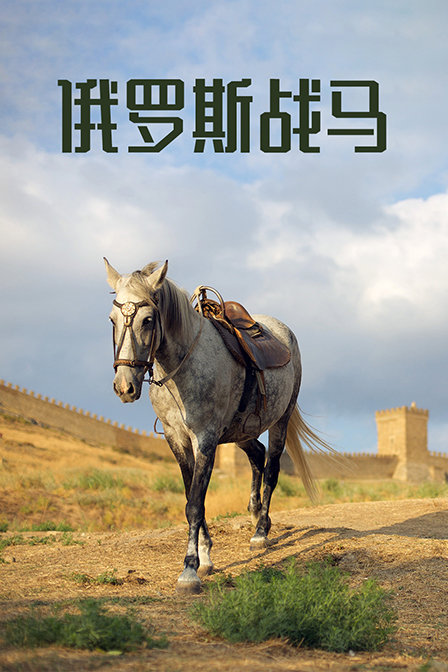 俄罗斯战马(2019)海报