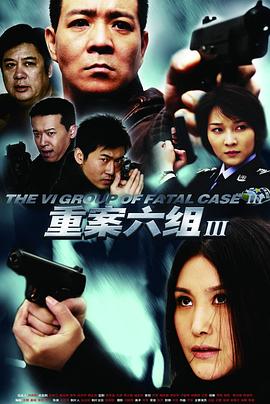 重案六组3(2009)海报