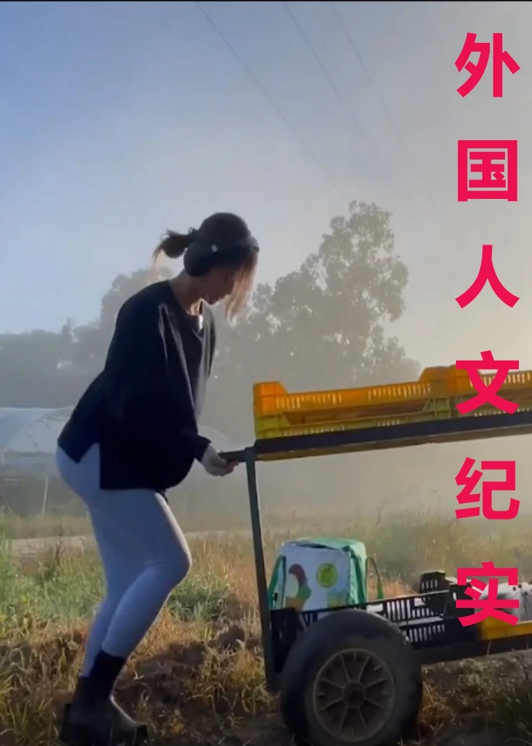 外國人文紀實海報