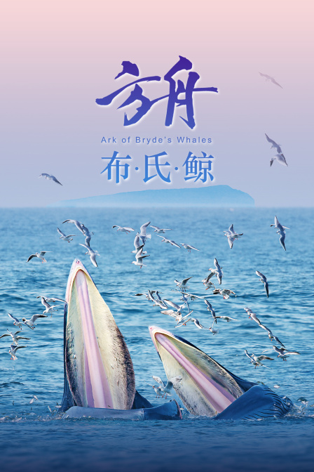方舟-布氏鲸(2026)海报