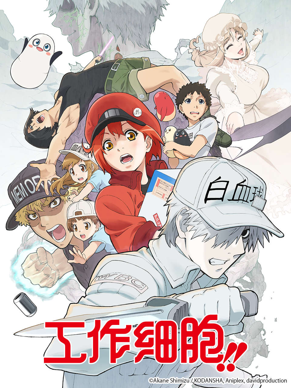 工作细胞第二季(2021)海报