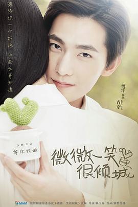 微微一笑很倾城2016(2016)海报