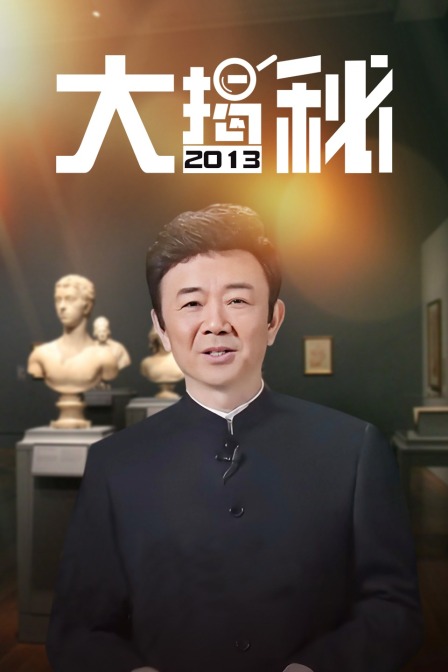 大揭秘2013(2013)海报