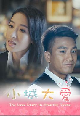 小城大爱系列剧粤语(2016)海报