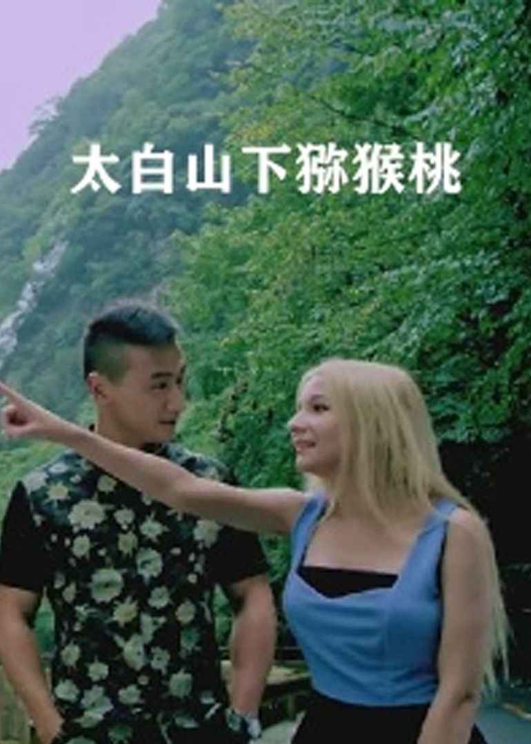 太白山下獼猴桃(2016)海報