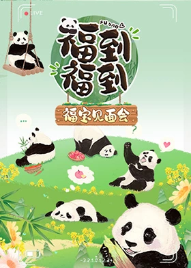 福到福到福宝见面会(2024)海报
