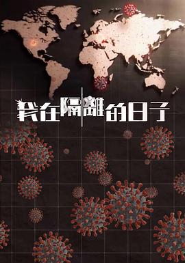 我在隔离的日子(2021)海报