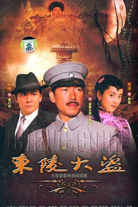 東陵大盜2008(2008)海報