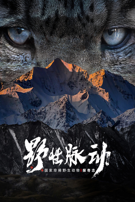 野性脈動 國家珍稀野生動物探奇志(2023)海報