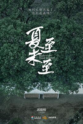 夏至未至DVD版(2017)海報