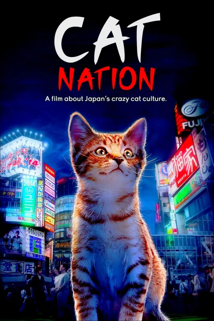 貓咪國度(2017)海報