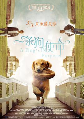 一条狗的使命(国语版)(2017)海报